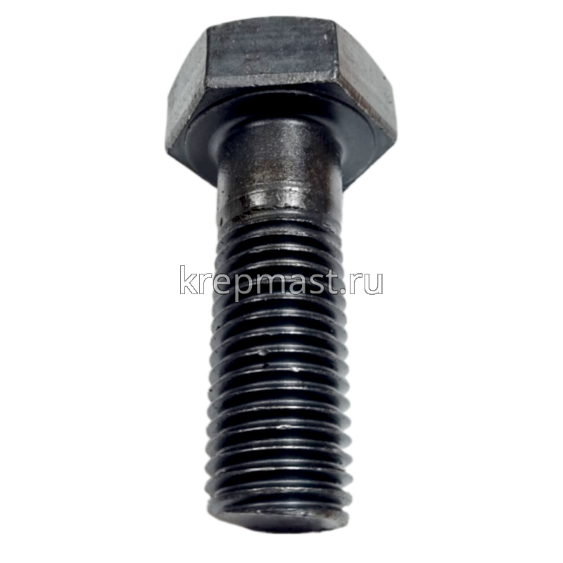 Болт 24х 70 кл.пр.10,9 черный н/р DIN 931